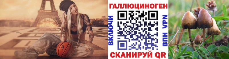 это Telegram  Орск  Галлюциногенные грибы мухоморы 