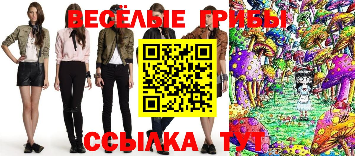 Галлюциногенные грибы Cubensis Орск